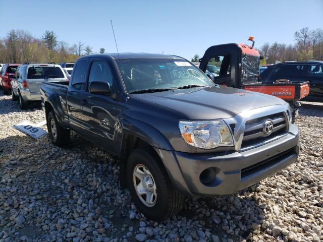 toyota tacoma acc 2010 5teux4en2az736061