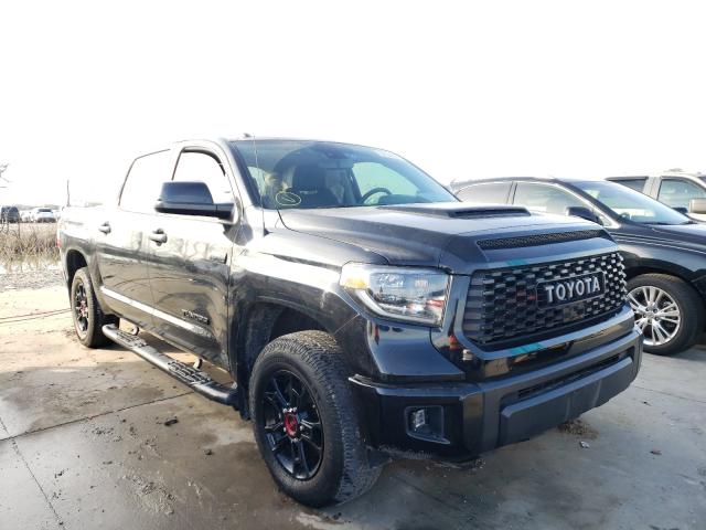 toyota tundra cre 2019 5tfdy5f1xkx813749