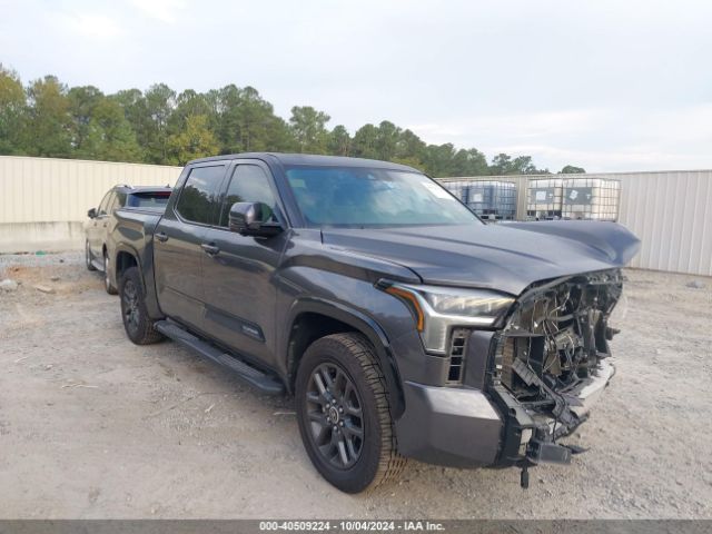 toyota tundra 2023 5tfna5ab8px026475