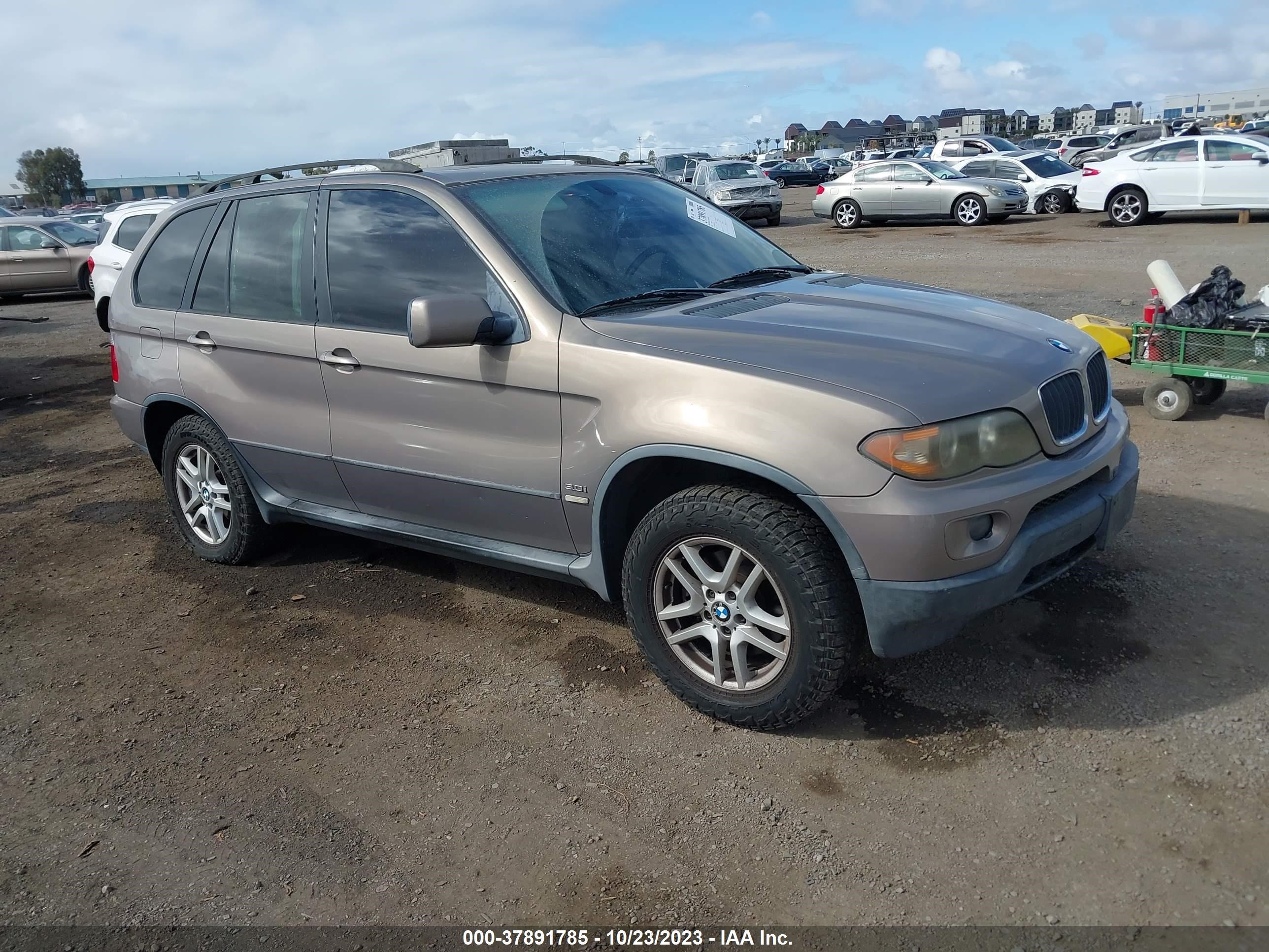 bmw x5 2006 5uxfa13506ly38944