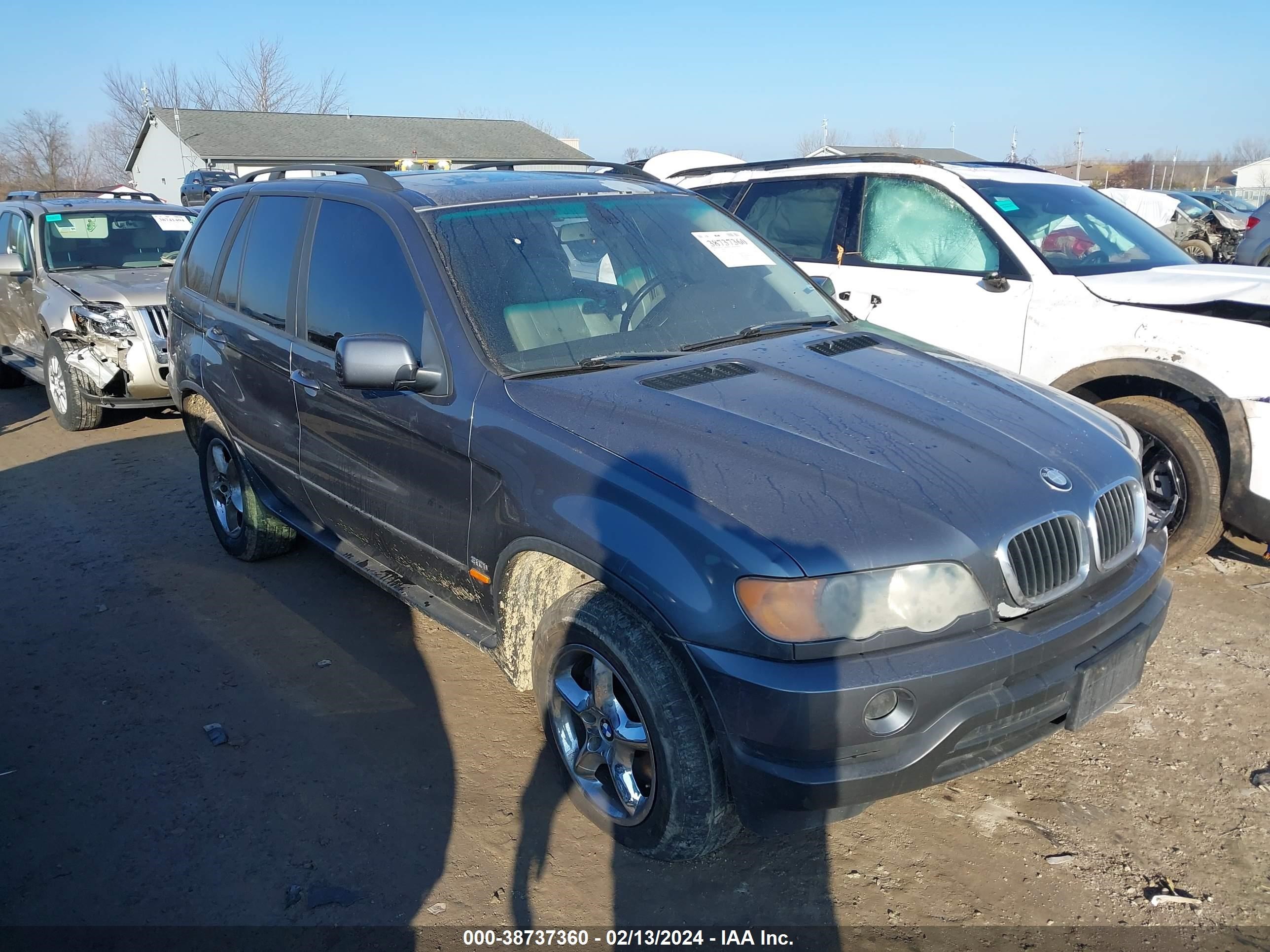 bmw x5 2002 5uxfa53592lp45132