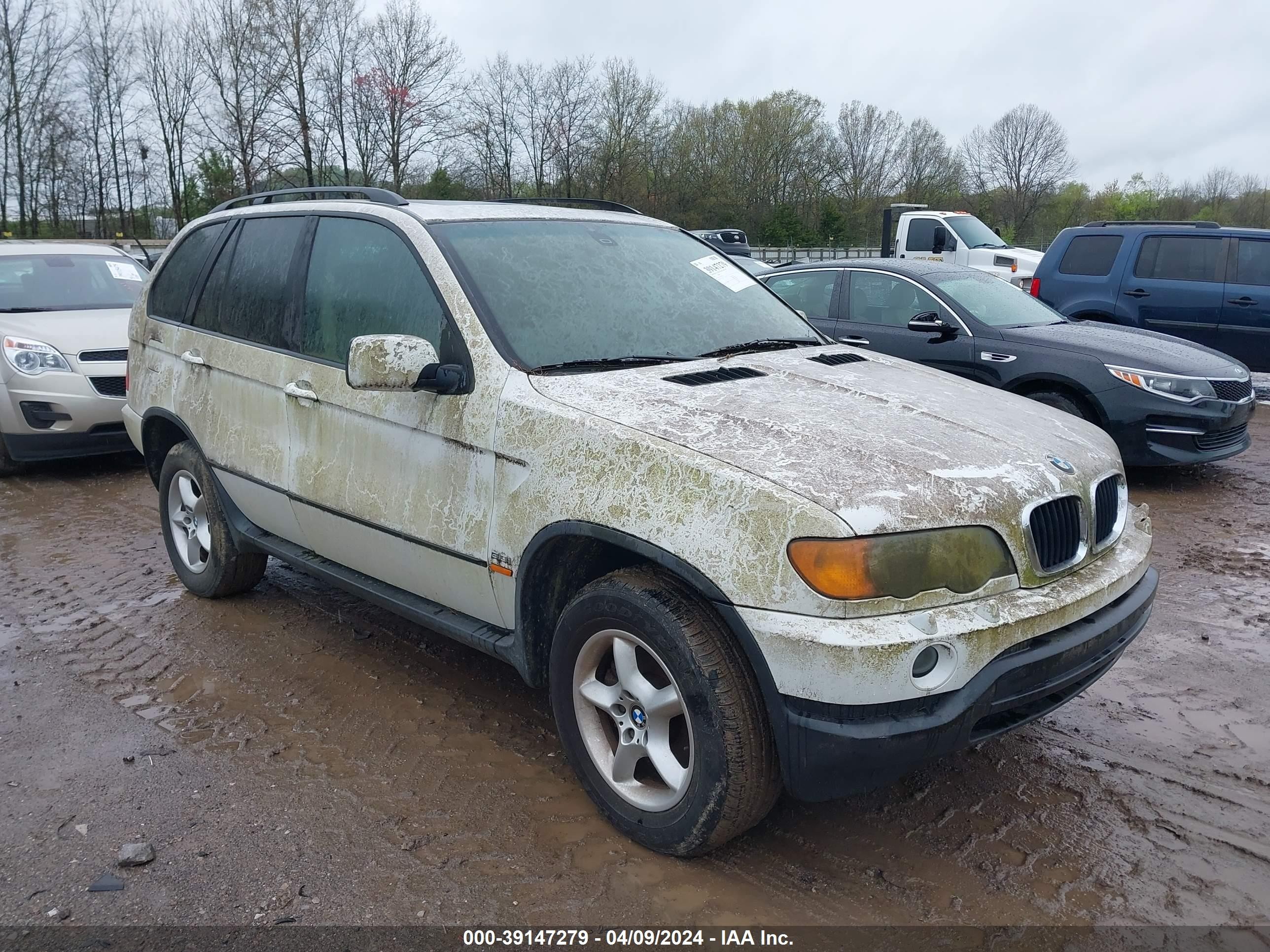 bmw x5 2003 5uxfa535x3lv97235