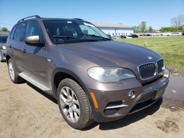 bmw  2011 5uxzv4c51bl741815