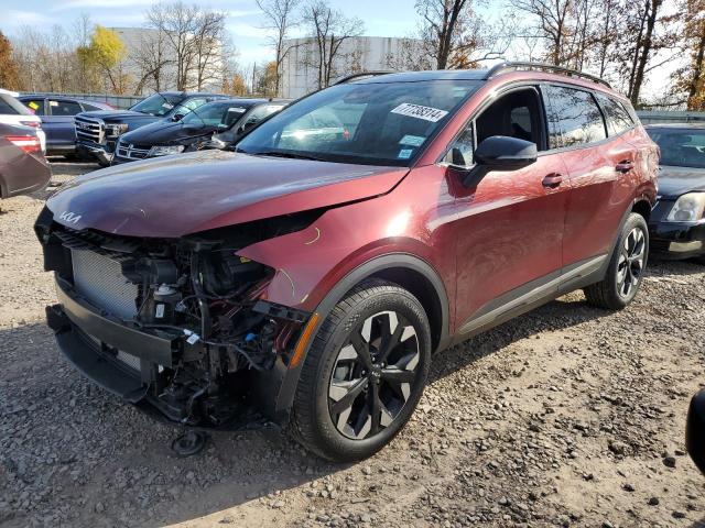 kia sportage x 2024 5xyk6cdf9rg169089