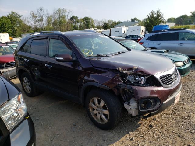 kia  2011 5xykt3a10bg071916