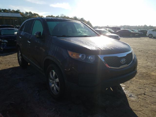 kia  2011 5xykt3a11bg004029