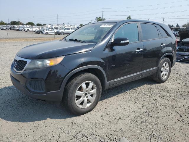 kia sorento 2013 5xykt3a1xdg336523