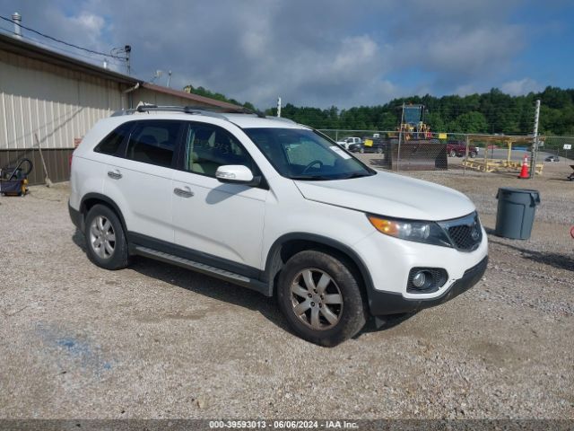 kia sorento 2013 5xykt3a66dg421404