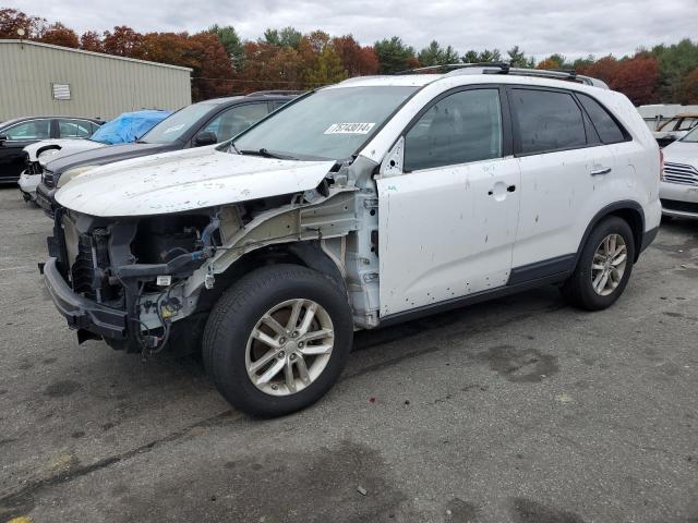 kia sorento lx 2014 5xykt4a73eg521119