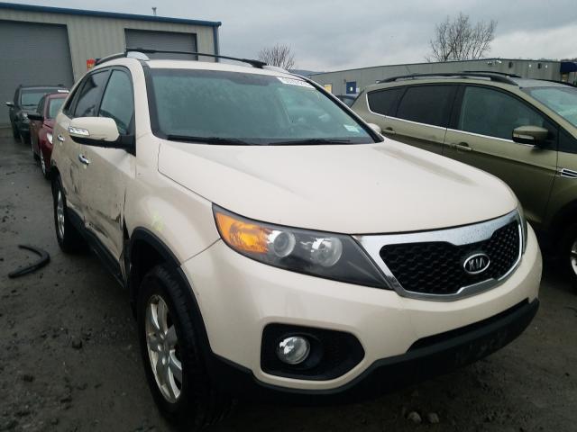 kia  2011 5xyktda19bg169672