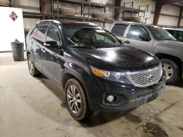 kia sorento ex 2011 5xyku3a11bg035455