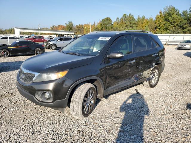 kia sorento ex 2011 5xyku3a15bg149295