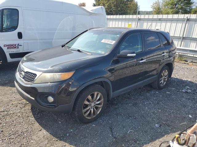 kia sorento ex 2011 5xyku4a28bg025696