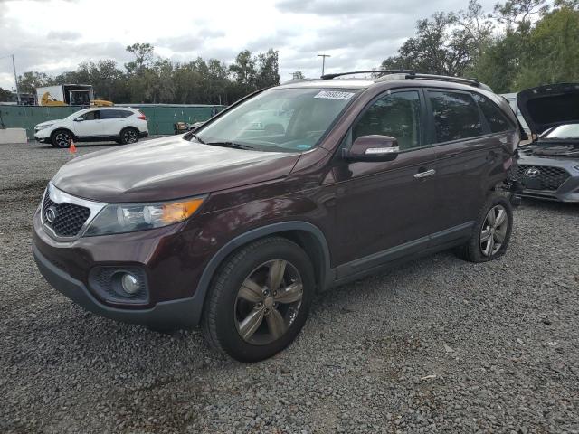 kia sorento ex 2013 5xyku4a6xdg332969