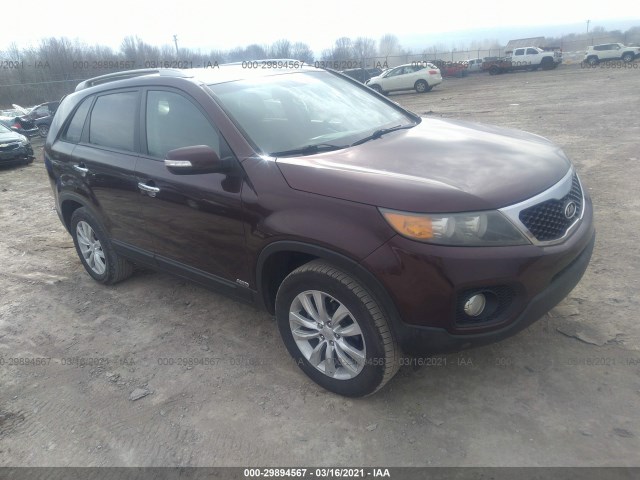 kia sorento 2011 5xykuca10bg001779