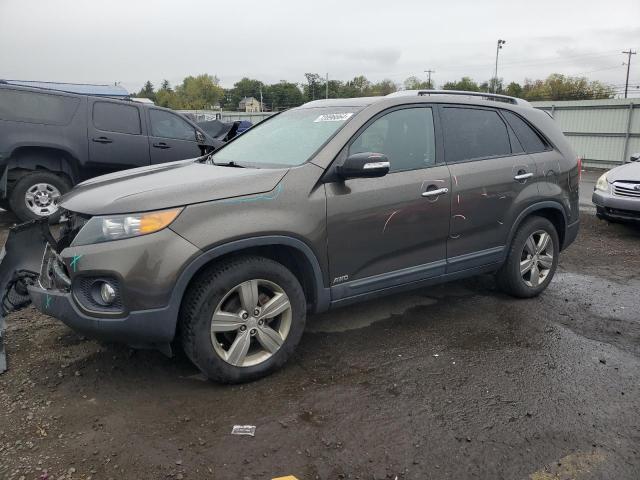 kia sorento ex 2013 5xykuca62dg397325