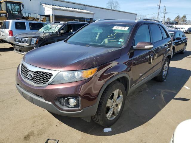 kia sorento 2013 5xykuca6xdg396312