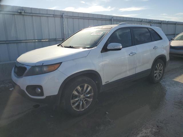 kia sorento ex 2011 5xykuda22bg041666