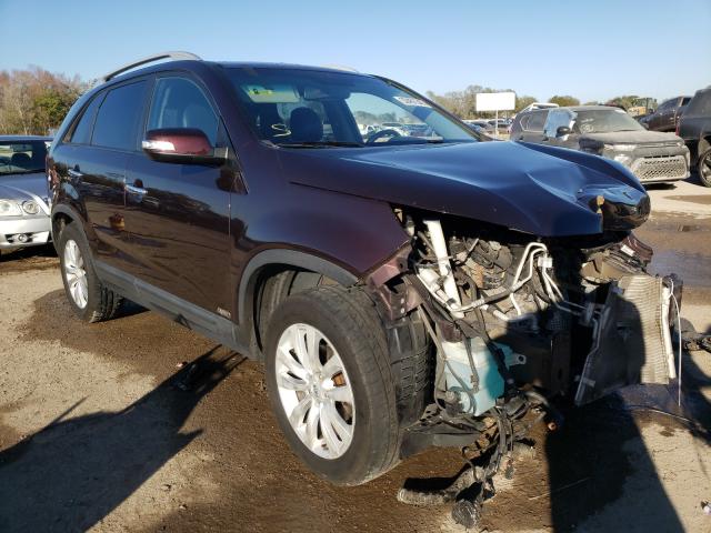 kia sorento ex 2011 5xykuda22bg134557