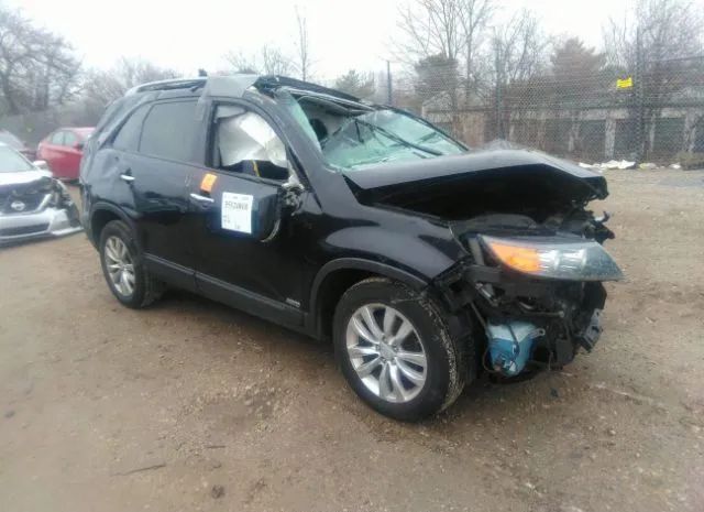 kia sorento 2011 5xykuda22bg177859