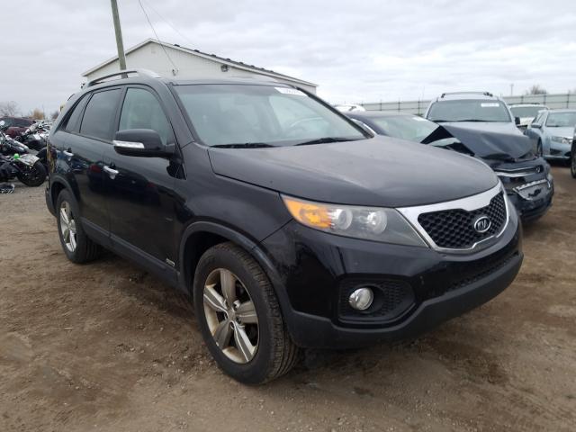 kia sorento ex 2012 5xykuda24cg199525