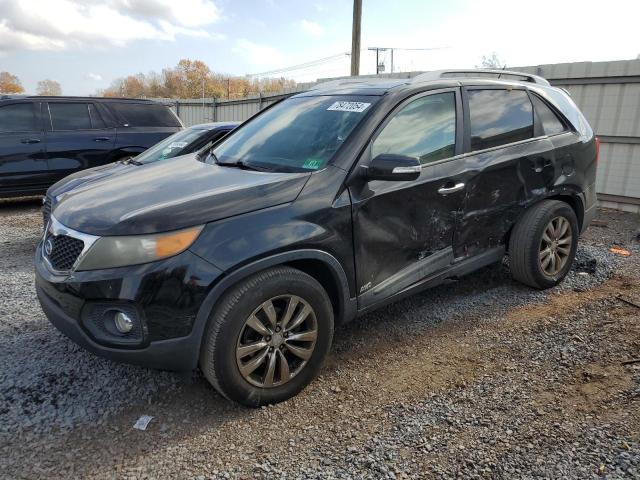 kia sorento ex 2011 5xykuda25bg057523