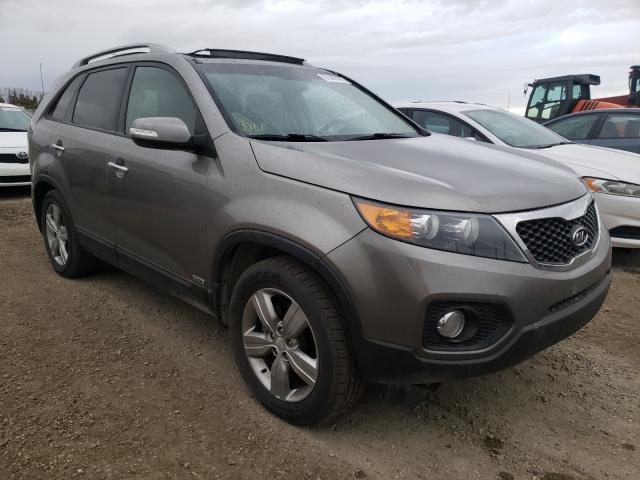 kia sorento ex 2012 5xykuda29cg261274