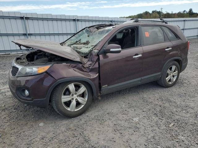 kia sorento ex 2013 5xykuda29dg316890