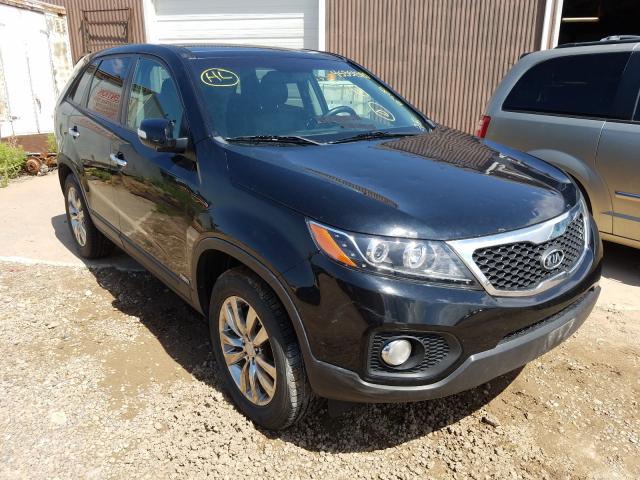 kia sorento ex 2011 5xykuda2xbg030611