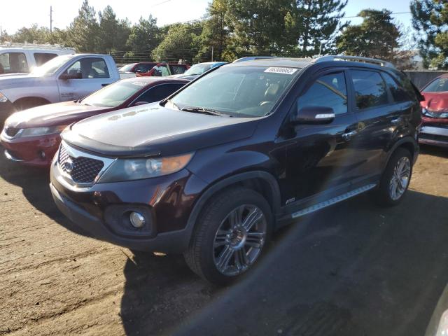 kia sorento ex 2011 5xykuda2xbg157083