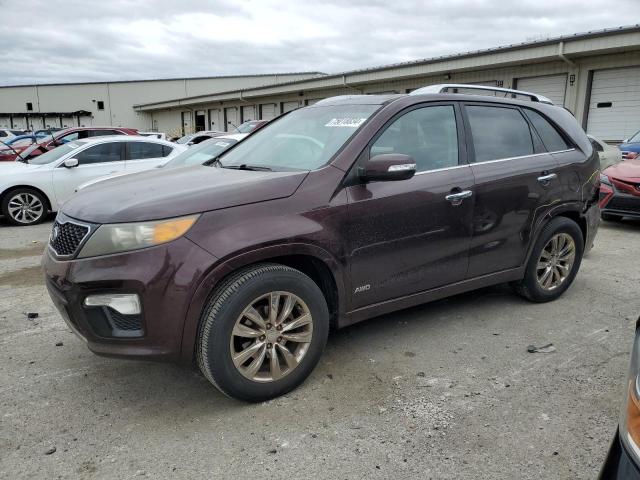 kia sorento sx 2011 5xykwda20bg099754