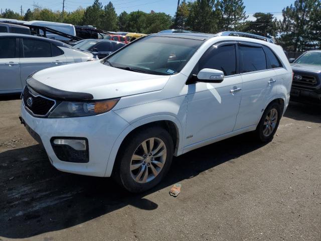 kia sorento sx 2011 5xykwda23bg096105