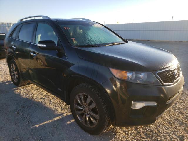 kia sorento sx 2011 5xykwda23bg152933