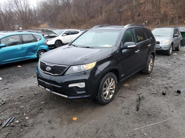 kia sorento sx 2012 5xykwda26cg197091