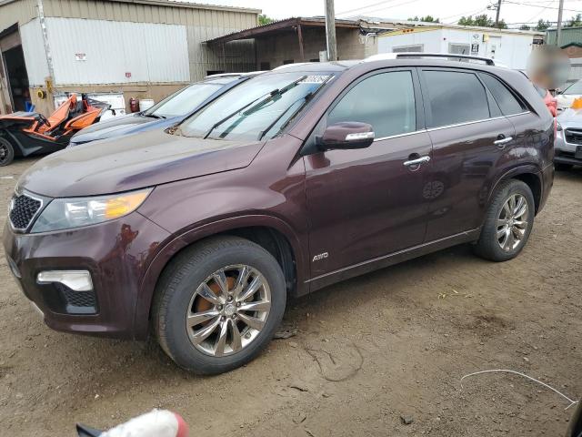 kia sorento sx 2013 5xykwda29dg378574