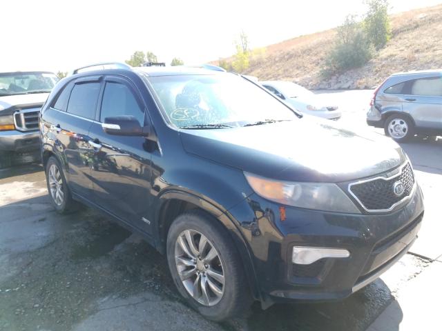 kia sorento sx 2011 5xykwda2xbg162097