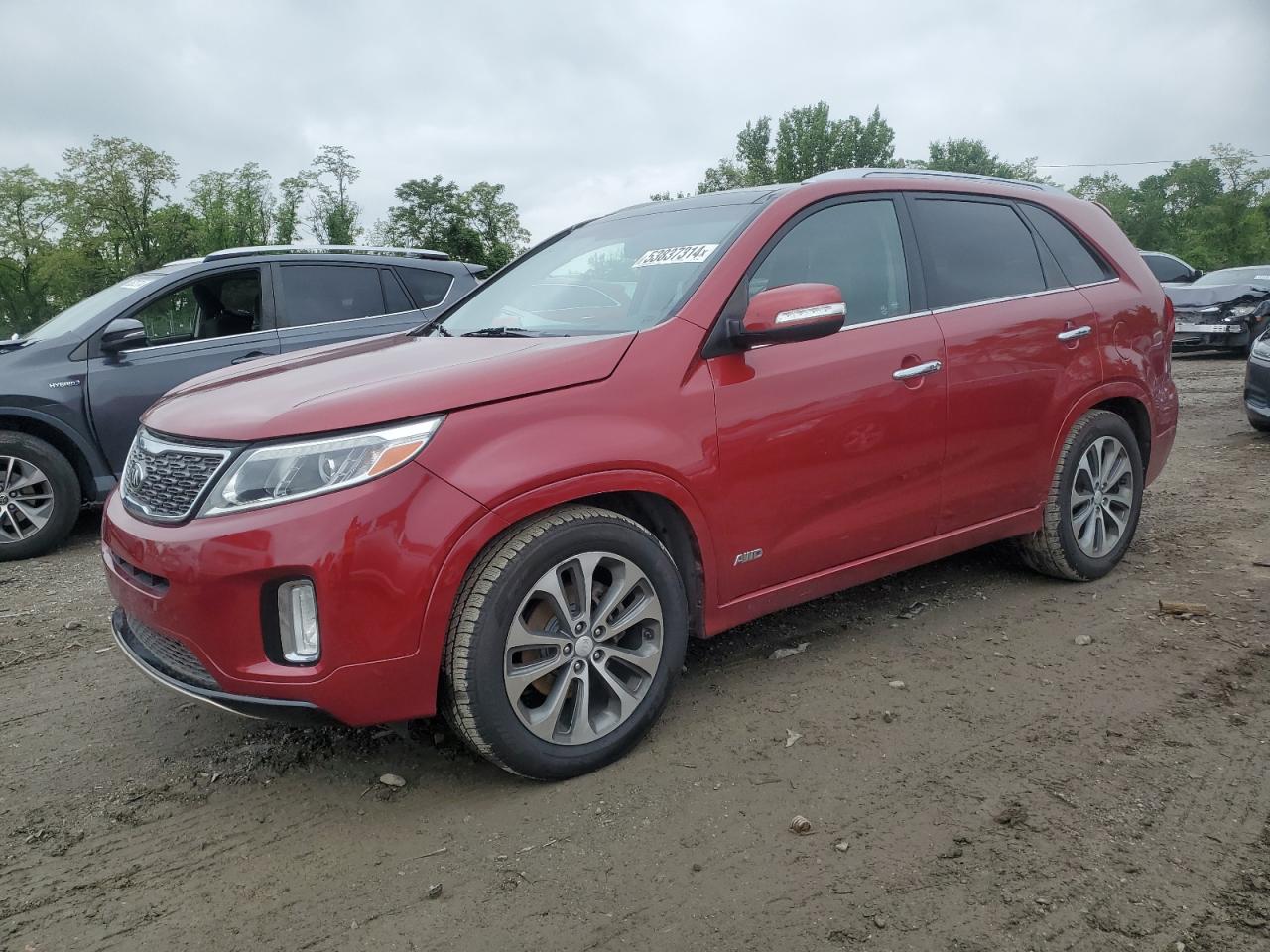 kia sorento 2014 5xykwda77eg515069