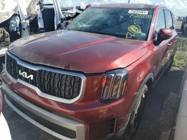 kia telluride 2024 5xyp34gc9rg481807