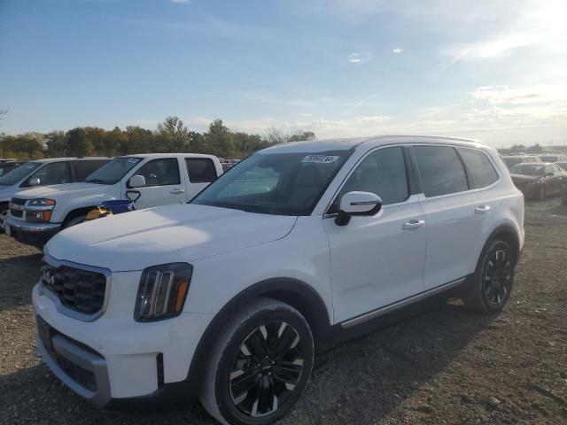 kia telluride 2023 5xyp5dgc7pg329497