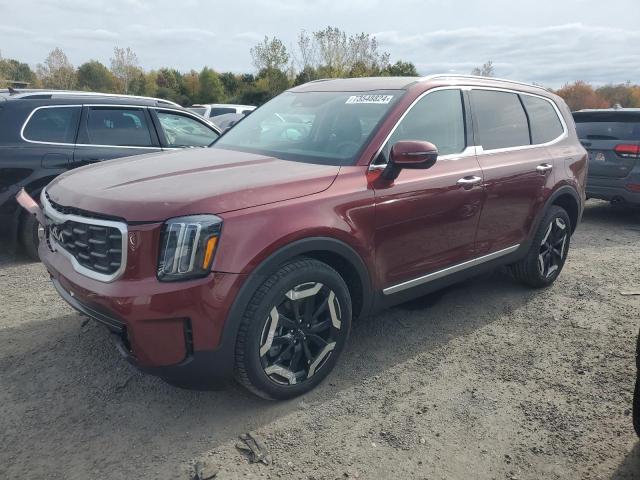 kia telluride 2024 5xyp6dgc1rg549430