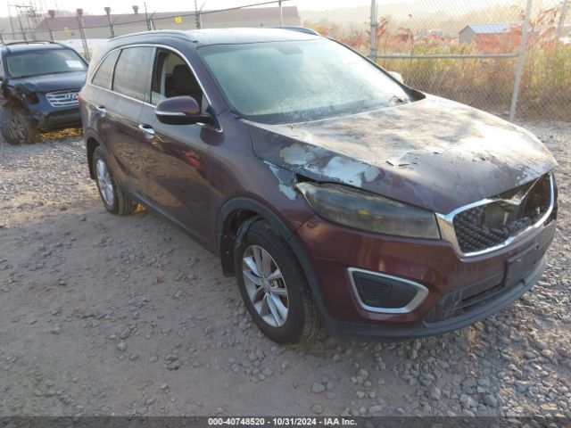 kia sorento 2017 5xypg4a34hg288041