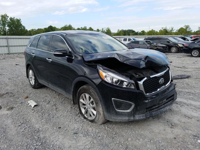 kia  2016 5xypg4a39gg164524