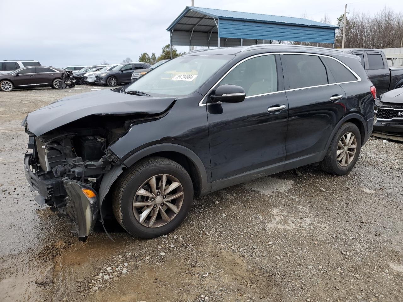 kia sorento 2016 5xypg4a51gg043651