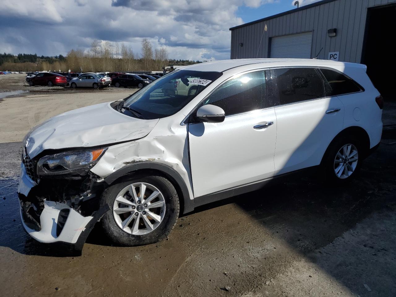 kia sorento 2020 5xypg4a56lg668394