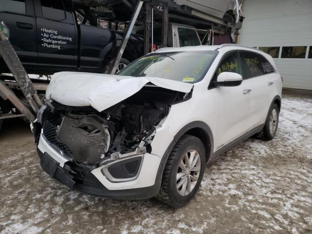 kia sorento lx 2017 5xypgda55hg216265