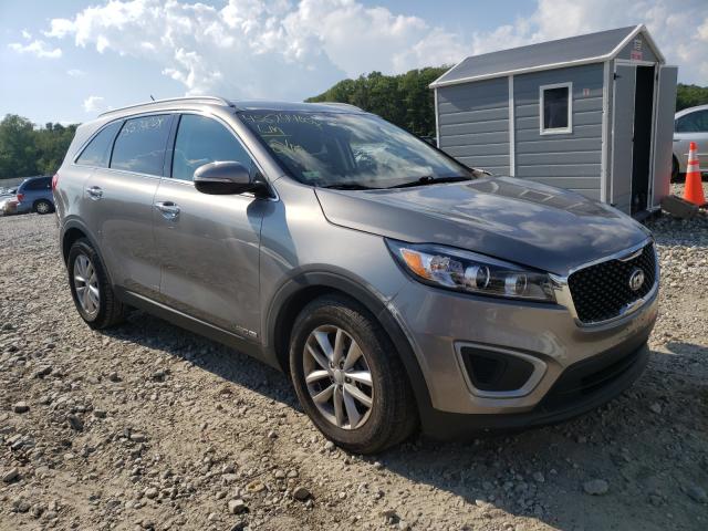 kia  2018 5xypgda59jg393410