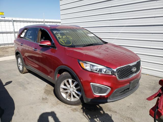 kia sorento lx 2016 5xypgda5xgg135454