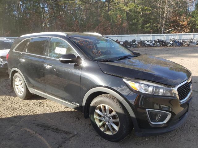 kia sorento lx 2016 5xypgda5xgg173220