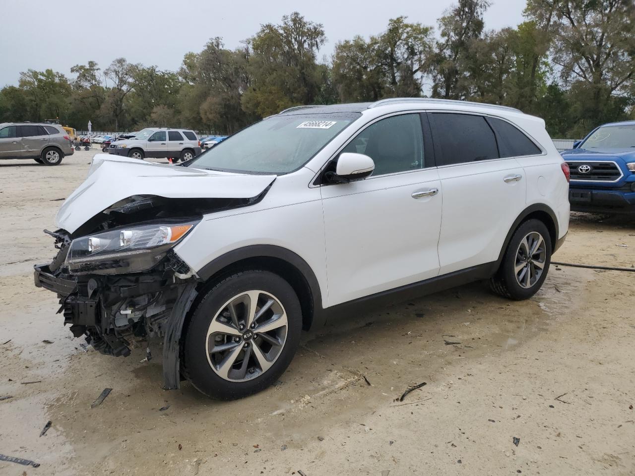 kia sorento 2019 5xyph4a55kg460924