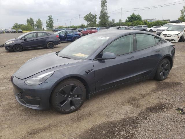 tesla model 3 2023 5yj3e1ea0pf421203